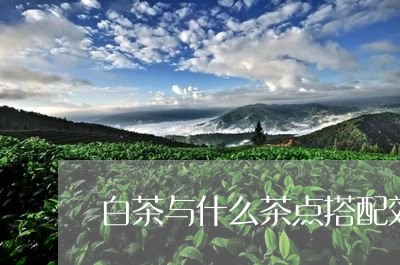 白茶与什么茶点搭配效果好/2023040941403