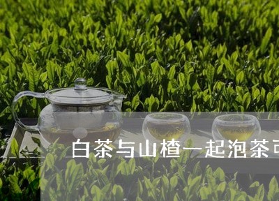 白茶与山楂一起泡茶可以吗/2023040927269