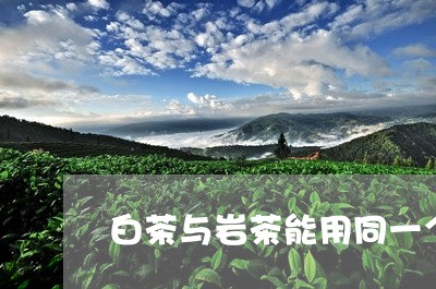 白茶与岩茶能用同一个壶吗/2023041365937