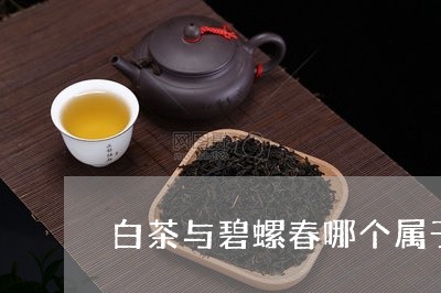 白茶与碧螺春哪个属于绿茶/2023041058494