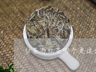 白茶与红茶哪个更适合储存/2023041072935