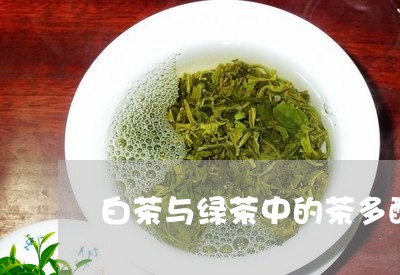 白茶与绿茶中的茶多酚含量/2023041357048