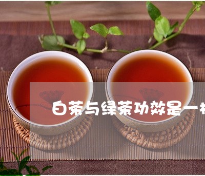 白茶与绿茶功效是一样的吗/2023041053603