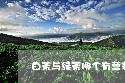 白茶与绿茶哪个有营养一些/2023041390817