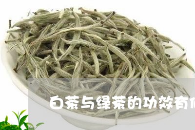 白茶与绿茶的功效有何区别/2023041082947