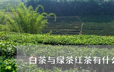 白茶与绿茶红茶有什么区别/2023041365260