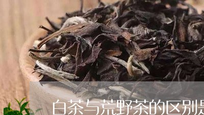 白茶与荒野茶的区别是什么/2023041371747