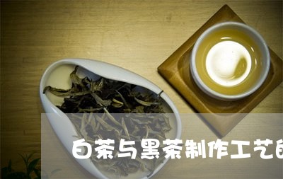 白茶与黑茶制作工艺的区别/2023041063836