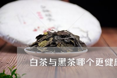 白茶与黑茶哪个更健康一些/2023041057462