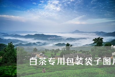 白茶专用包装袋子图片高清/2023041006249