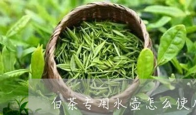 白茶专用水壶怎么使用图解/2023041088283