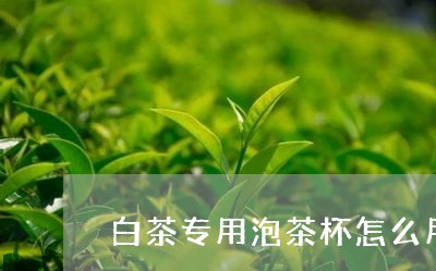 白茶专用泡茶杯怎么用视频/2023041305058