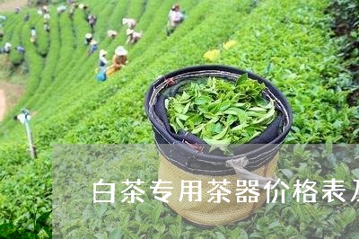 白茶专用茶器价格表及图片/2023041312939