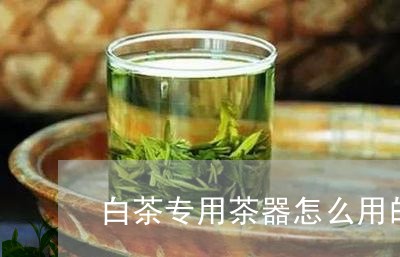 白茶专用茶器怎么用的图片/2023041381515