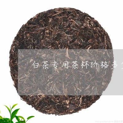 白茶专用茶杯价格多少一个/2023041017160