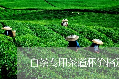 白茶专用茶道杯价格及图片/2023041072583