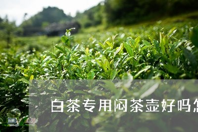 白茶专用闷茶壶好吗怎么煮/2023041395159