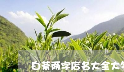 白茶两字店名大全大气好听/2023041346147