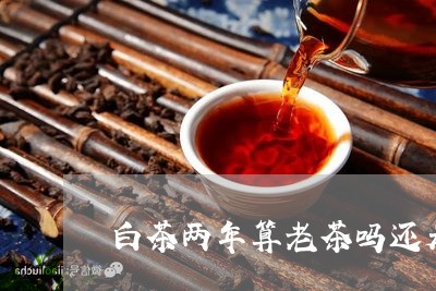 白茶两年算老茶吗还是新茶/2023041308360