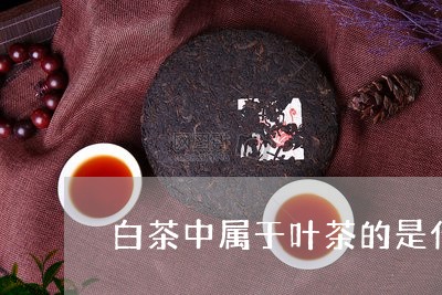 白茶中属于叶茶的是什么茶/2023041389613