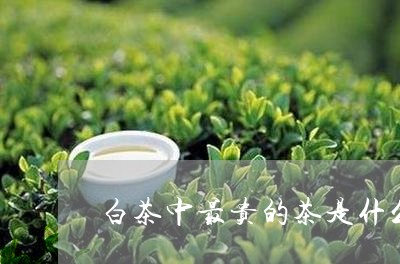 白茶中最贵的茶是什么品种/2023041059604