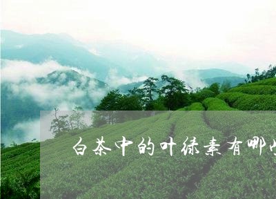 白茶中的叶绿素有哪些植物/2023041051826