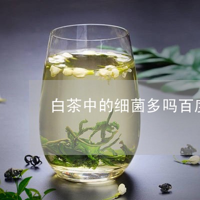 白茶中的细菌多吗百度知道/2023041007369