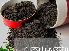 白茶中的茶饼与散茶的区别/2023041007695