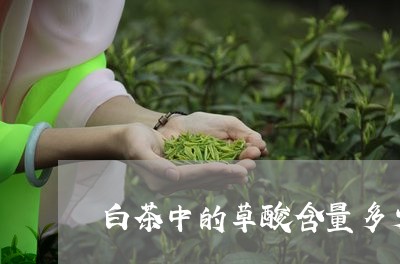 白茶中的草酸含量多少才好/2023041089682