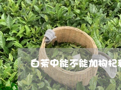 白茶中能不能加枸杞和大枣/2023041044036