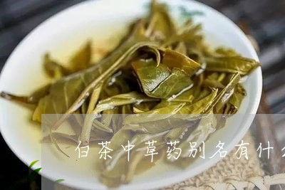 白茶中草药别名有什么名字/2023041004946