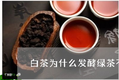 白茶为什么发酵绿茶不发酵/2023041007160