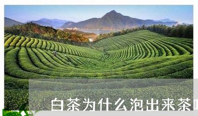 白茶为什么泡出来茶叶发黑/2023041039683