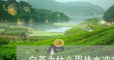 白茶为什么用热水冲会变红/2023041370496