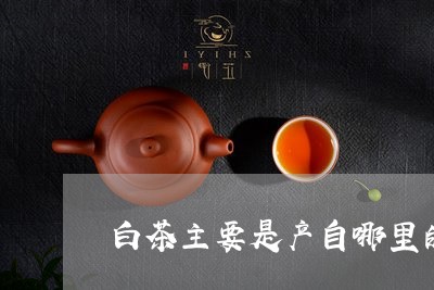 白茶主要是产自哪里的茶叶/2023041007259