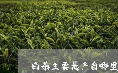 白茶主要是产自哪里的茶叶/2023041338279