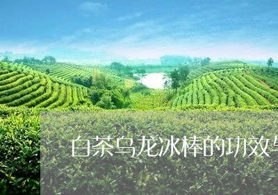 白茶乌龙冰棒的功效与禁忌/2023041027057