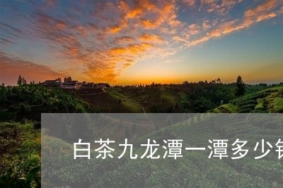 白茶九龙潭一潭多少钱一斤/2023041071581