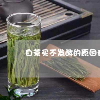 白茶买不发酵的原因有哪些/2023041341592