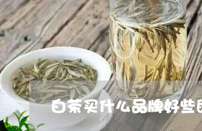 白茶买什么品牌好些的好喝/2023041384168