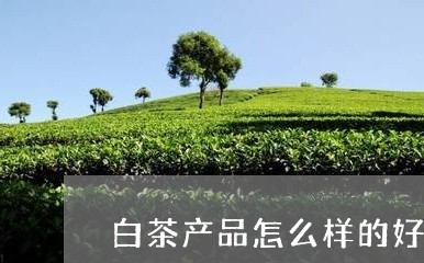 白茶产品怎么样的好喝一点/2023041094826