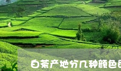 白茶产地分几种颜色的茶叶/2023041004959