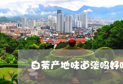 白茶产地味道淡吗好吗/2023041097482