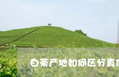 白茶产地如何区分真假图解/2023041055959