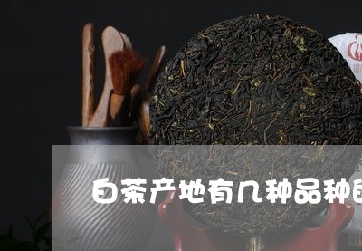 白茶产地有几种品种的茶叶/2023041088152