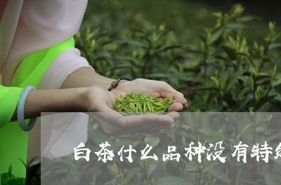 白茶什么品种没有特级香味/2023041389380