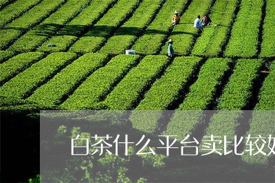 白茶什么平台卖比较好一点/2023041014926