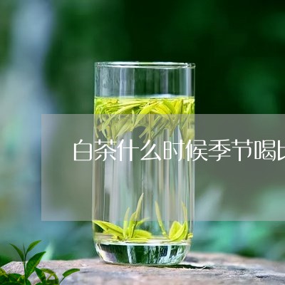 白茶什么时候季节喝比较好/2023041036259