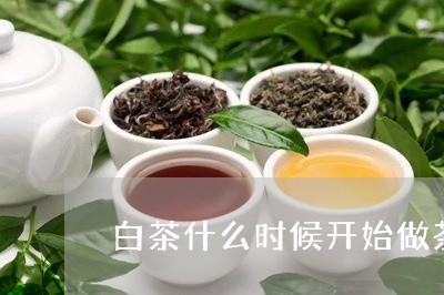 白茶什么时候开始做茶饼的/2023041051606