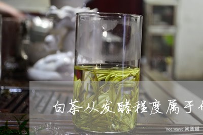 白茶从发酵程度属于什么茶/2023041096069